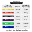 Heavy Resistance Band Blue (60-75 kg)