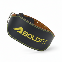 LIFTING BELT