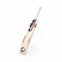 Bold Force Red English Willow Cricket Bat